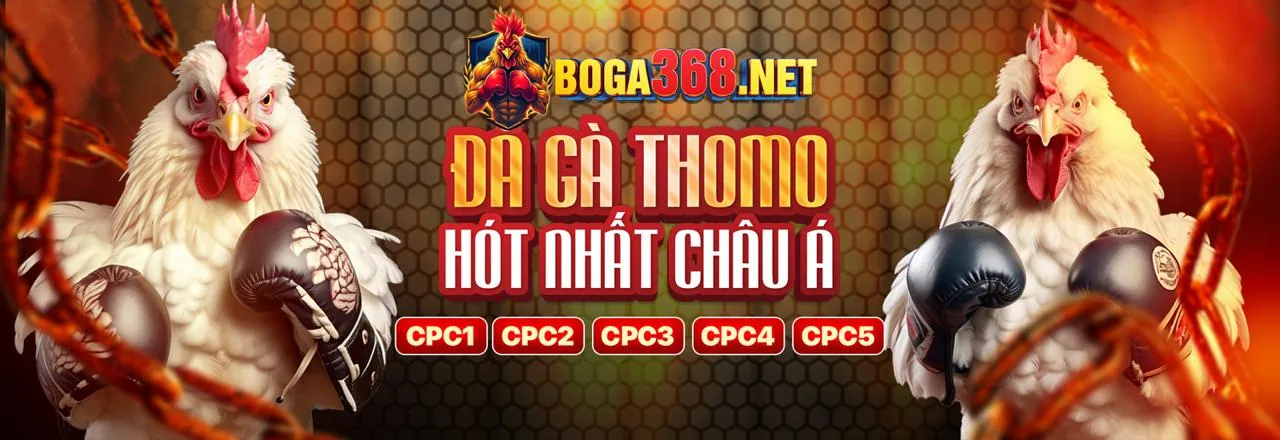 Đánh giá Bảo Mật Trò Chơi Bài cf68